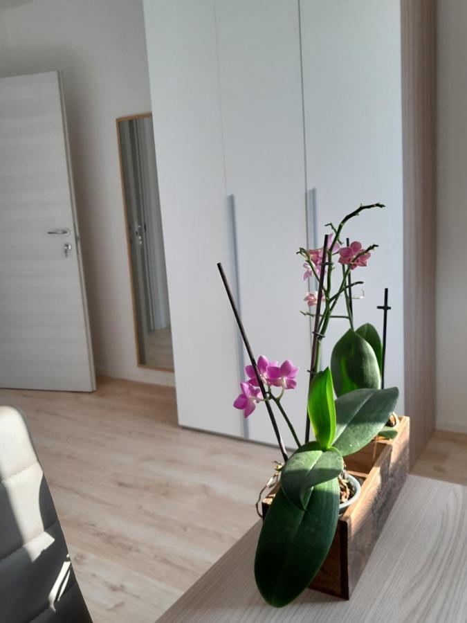 Appartment Lodged Mamma Maria Mattarello Bagian luar foto