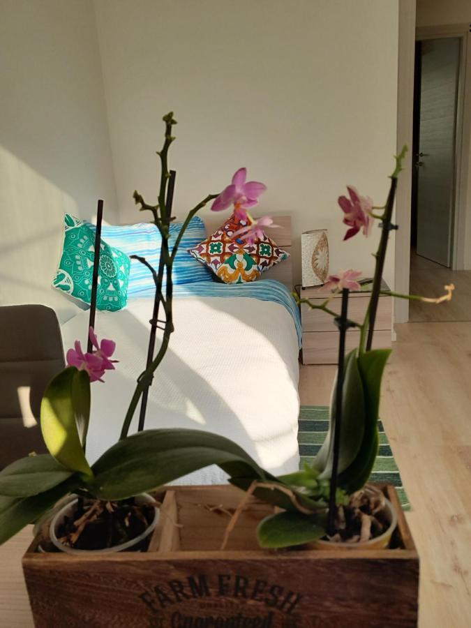 Appartment Lodged Mamma Maria Mattarello Bagian luar foto