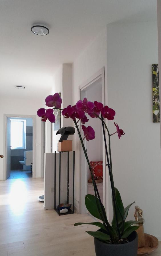 Appartment Lodged Mamma Maria Mattarello Bagian luar foto